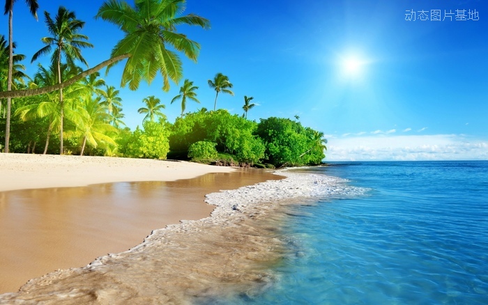图片描述：椰树，椰子树，海边，唯美，海浪，波浪,尺寸：2560X1600px 