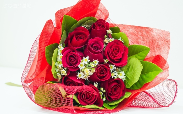 图片描述：玫瑰花，鲜花，情人节，love,尺寸：2560X1600px 