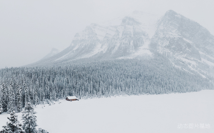图片描述：风光，雪景，阿尔伯塔，加拿大，风景,尺寸：2560X1600px 