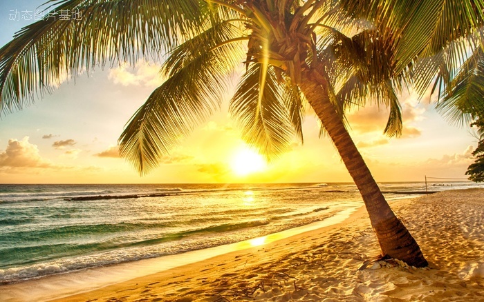 图片描述：风景，唯美，海边，椰树，椰子树,尺寸：2560X1600px 
