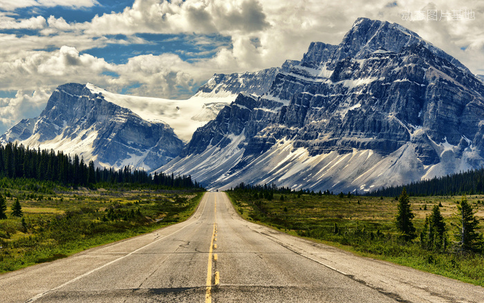图片描述：风光，公路，路图片，道路，阿尔伯塔，加拿大，风景,尺寸：1920X1200px 