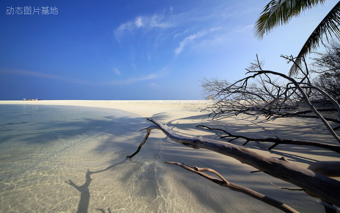 图片描述：马尔代夫，海边,尺寸：2560X1600px 