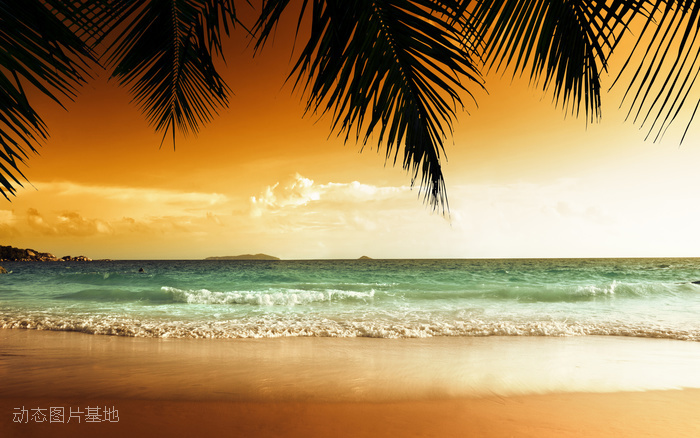图片描述：椰子树，风景，唯美，海边，落日，夕阳，大海,尺寸：2560X1600px 