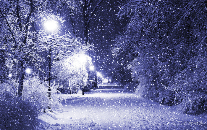 图片描述：下雪，雪景,尺寸：1920X1200px 