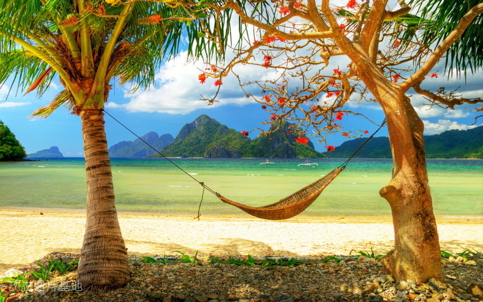 图片描述：热带，风景，海边，椰树，椰子树,尺寸：1920X1200px 