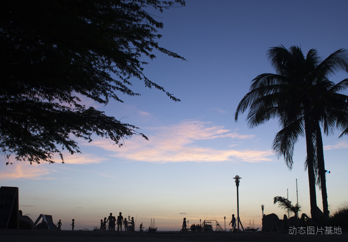 图片描述：椰树，椰子树，落日，夕阳,尺寸：3442X2392px 