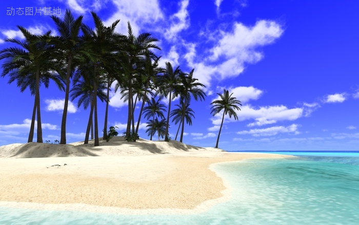 图片描述：热带，风景，海边，唯美，椰树，椰子树,尺寸：1920X1200px 