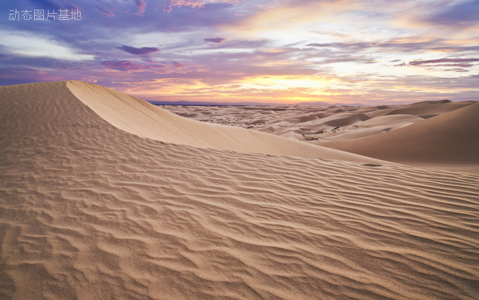 图片描述：沙漠,尺寸：2560X1600px 