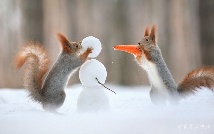图片描述：雪人，松鼠,尺寸：1920X1200px 