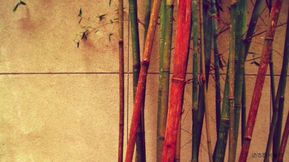 图片描述：竹子,尺寸：1920X1080px 