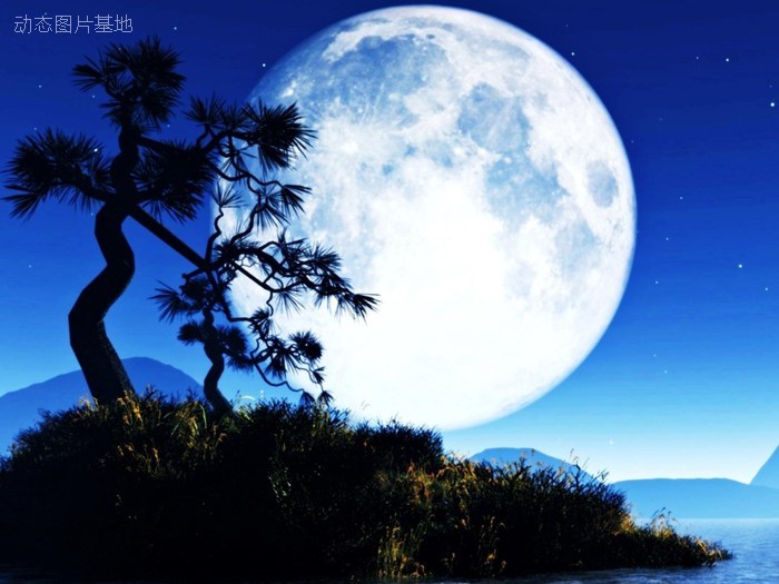 图片描述：中秋节，月亮图片,尺寸：1600X1200px 