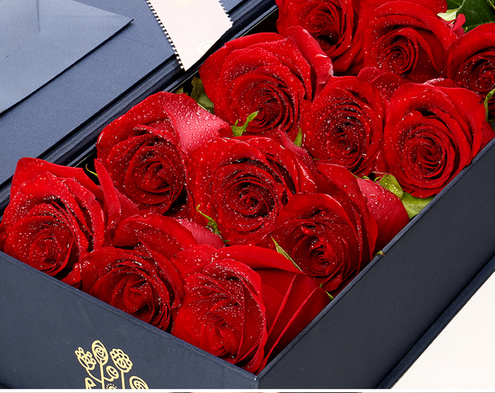 图片描述：玫瑰花，情人节,尺寸：750X596px 