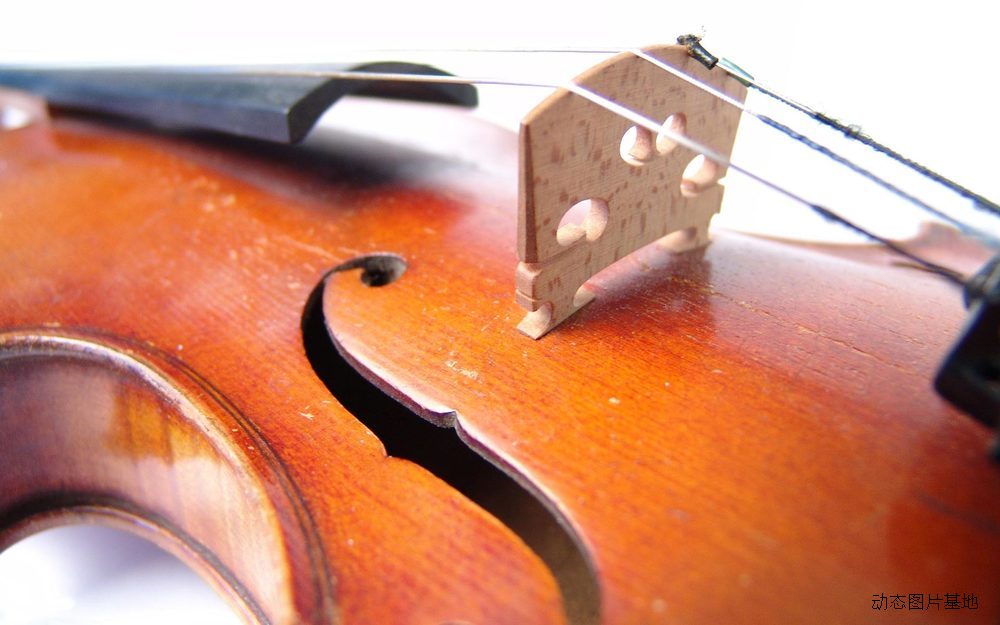 图片描述：小提琴,尺寸：1920X1200px 