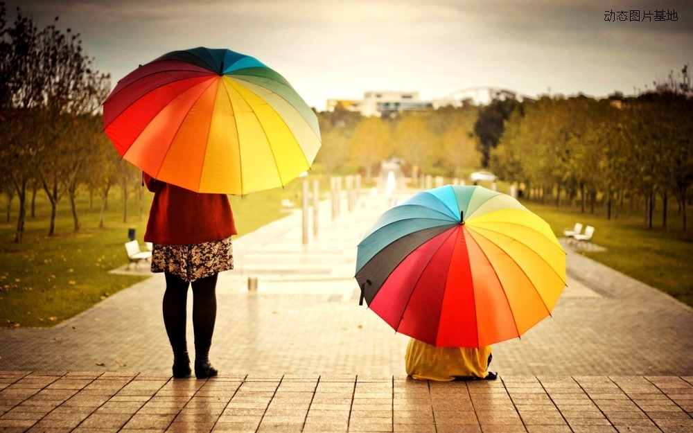 图片描述：雨伞,尺寸：2560X1600px 