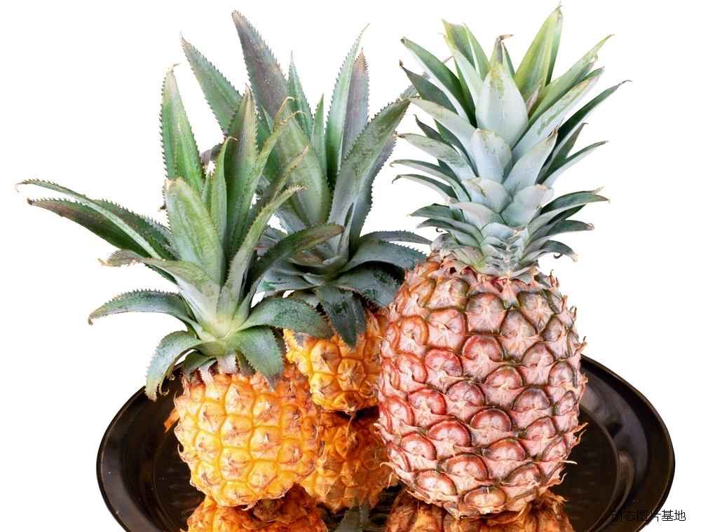 图片描述：菠萝,尺寸：2000X1520px 
