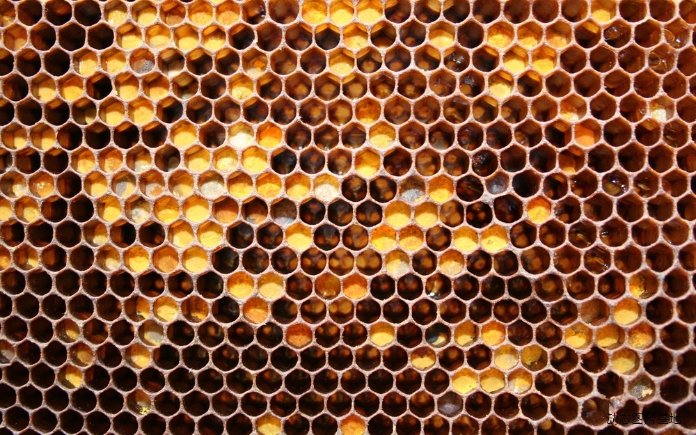 图片描述：蜂窝，蜂巢,尺寸：2560X1600px 